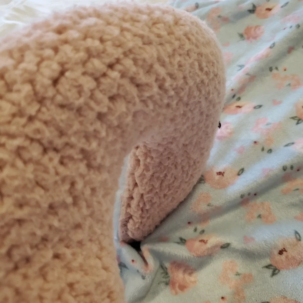 Le Bebe‎ Favorite Baby Blanket Blue Spring Pink Flowers Lovey Plush Sherpa